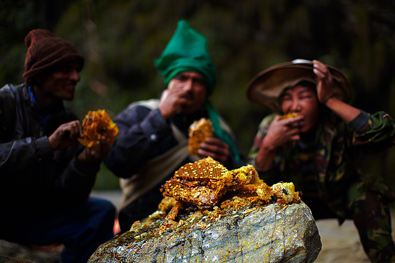 Illustration for article titled Stunning photos show the ancient tradition of honey hunting in Nepal